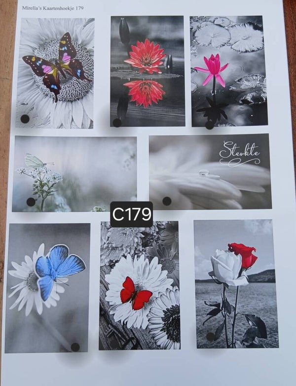 Collagevel C179