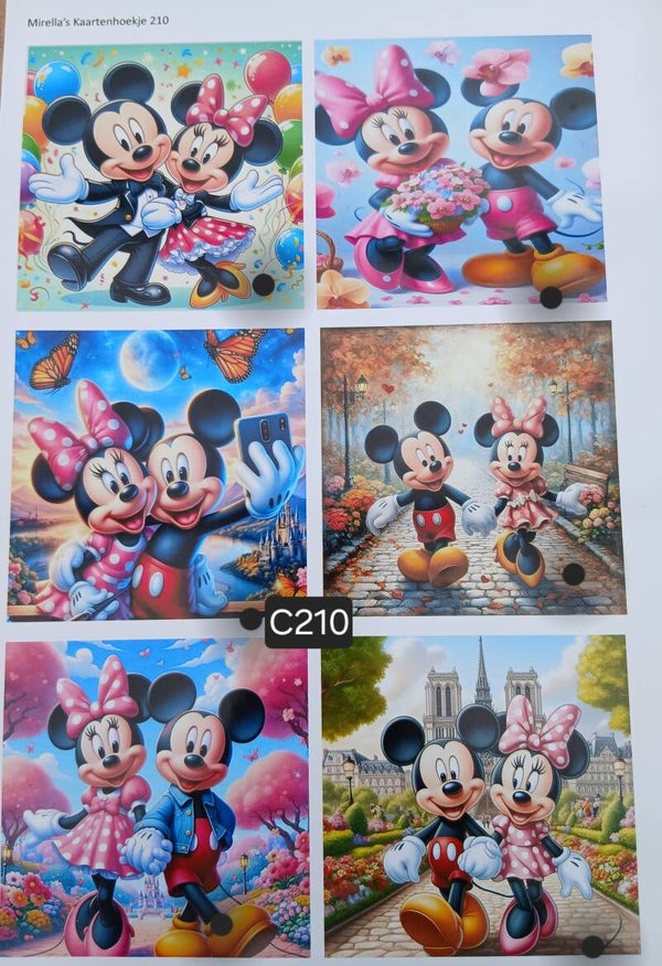 Collagevel C210