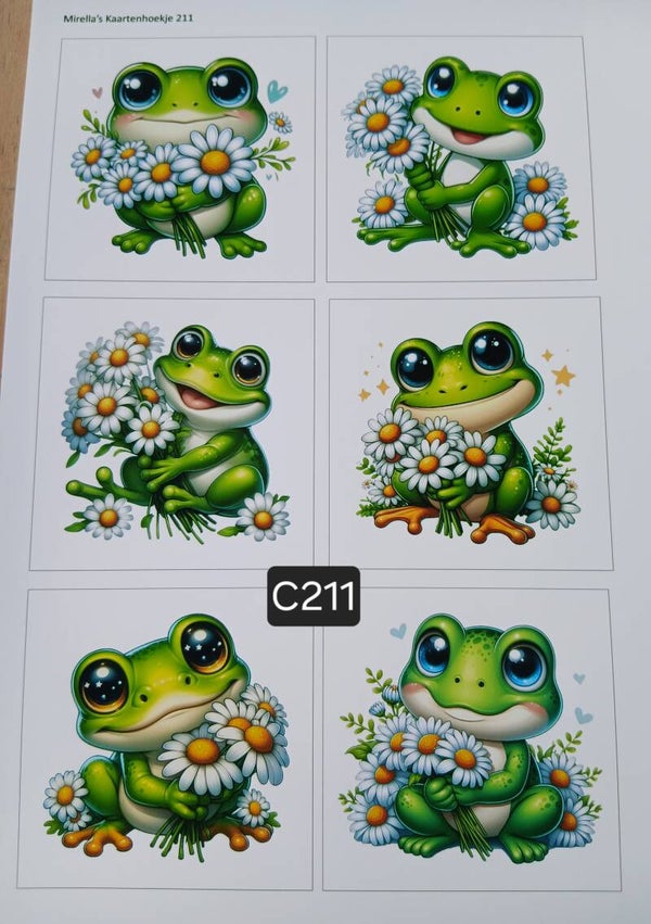 Collagevel C211