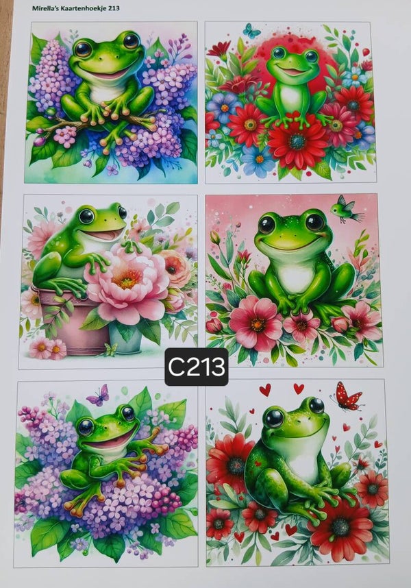 Collagevel C213