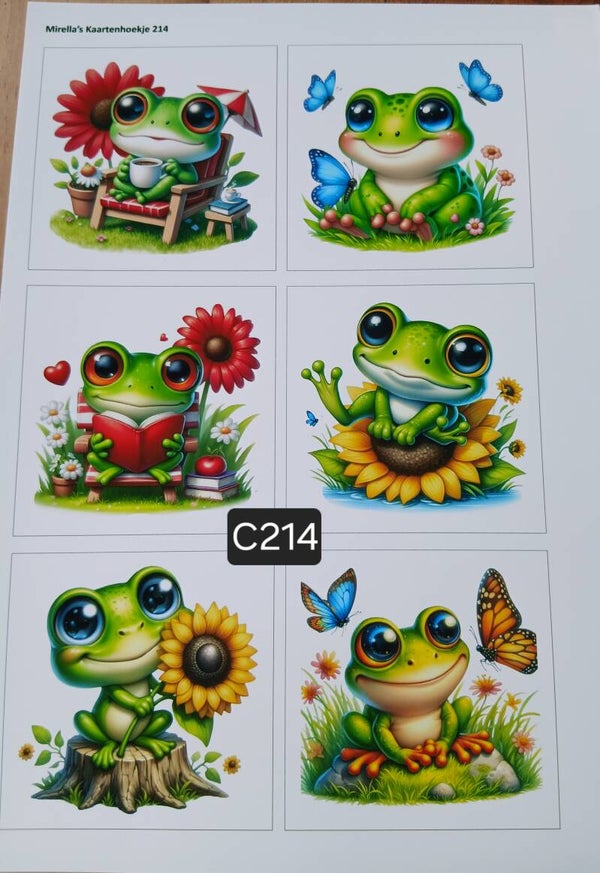 Collagevel C214