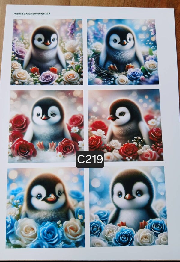 Collagevel C219