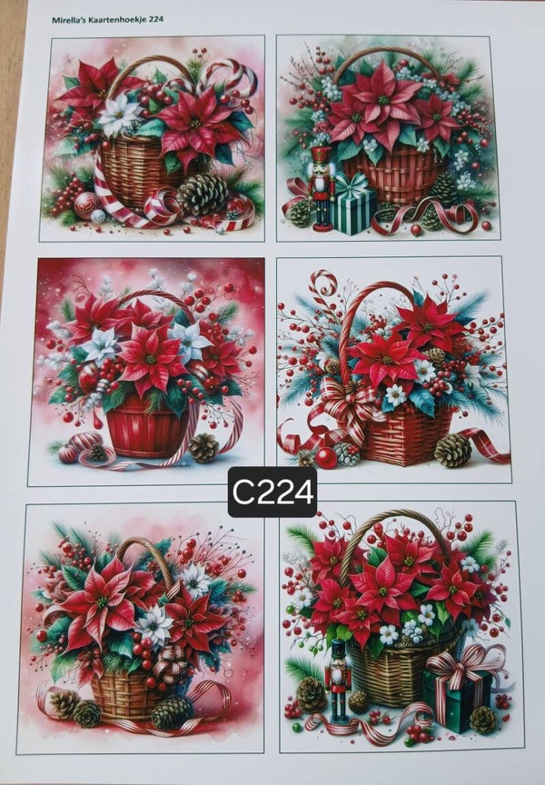 Collagevel C224