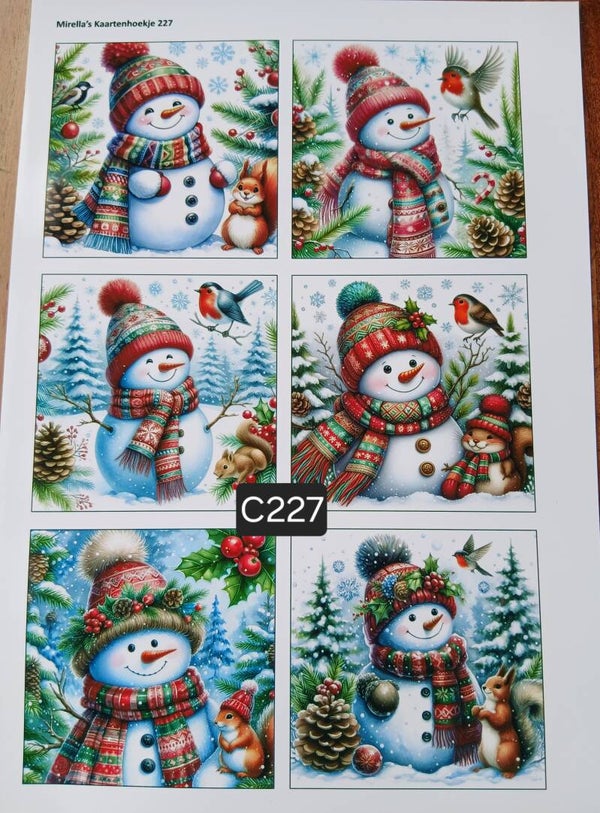 Collagevel C227