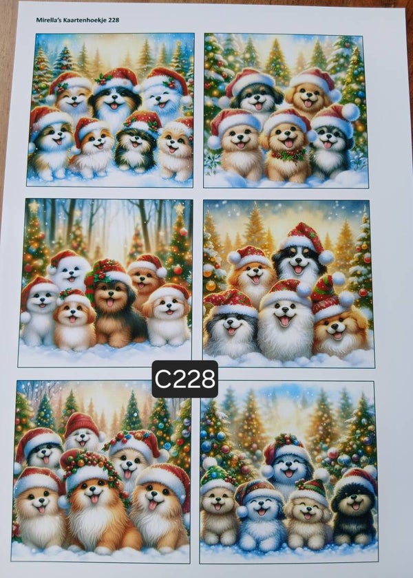 Collagevel C226