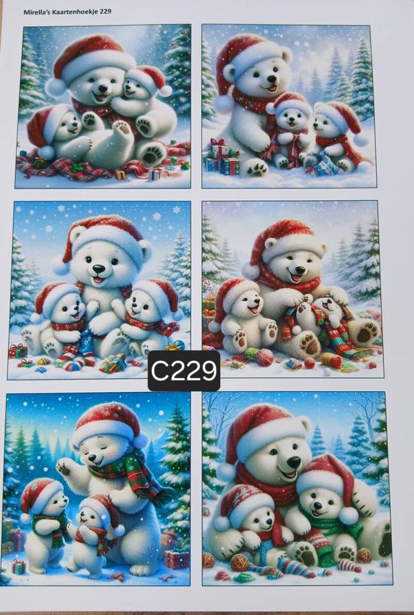 Collagevel C229
