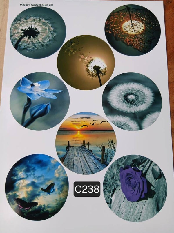 Collagevel C238