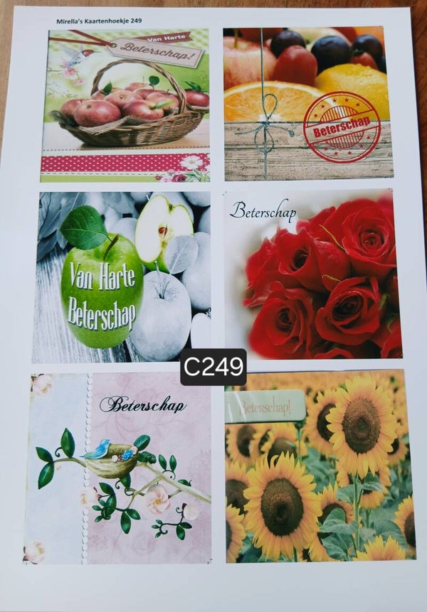 Collagevel C249