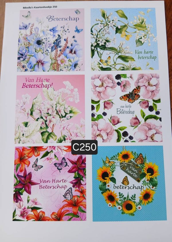 Collagevel C250