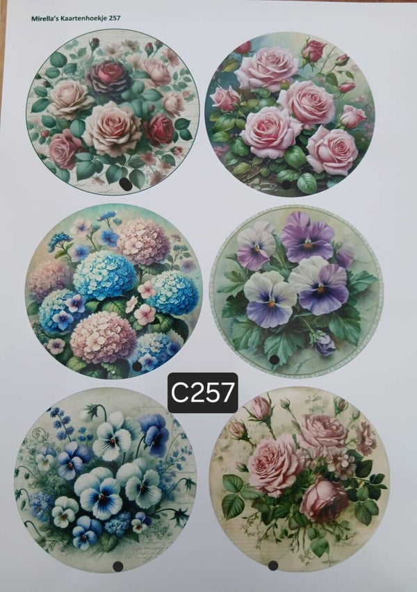 Collagevel C257