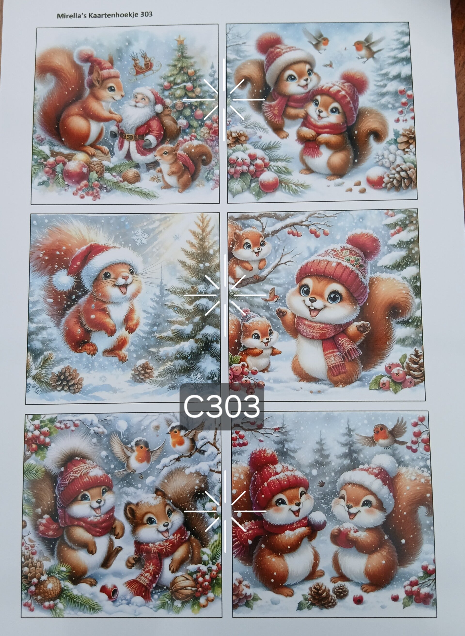 Collagevel C303