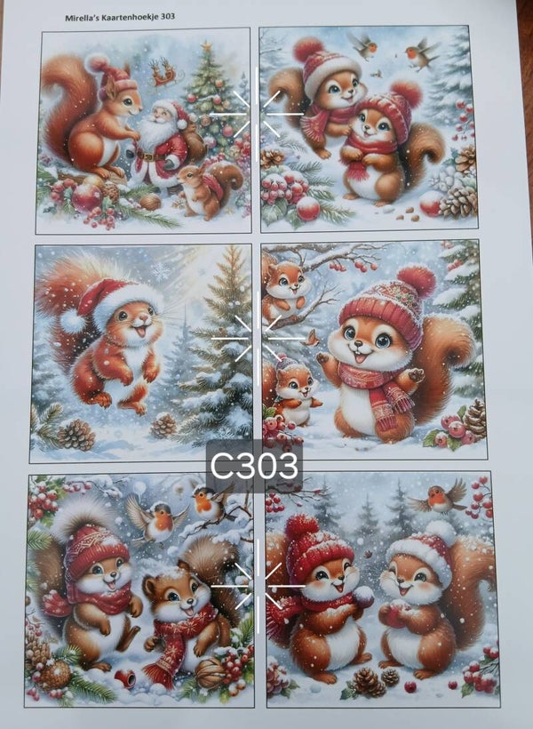 Collagevel C303