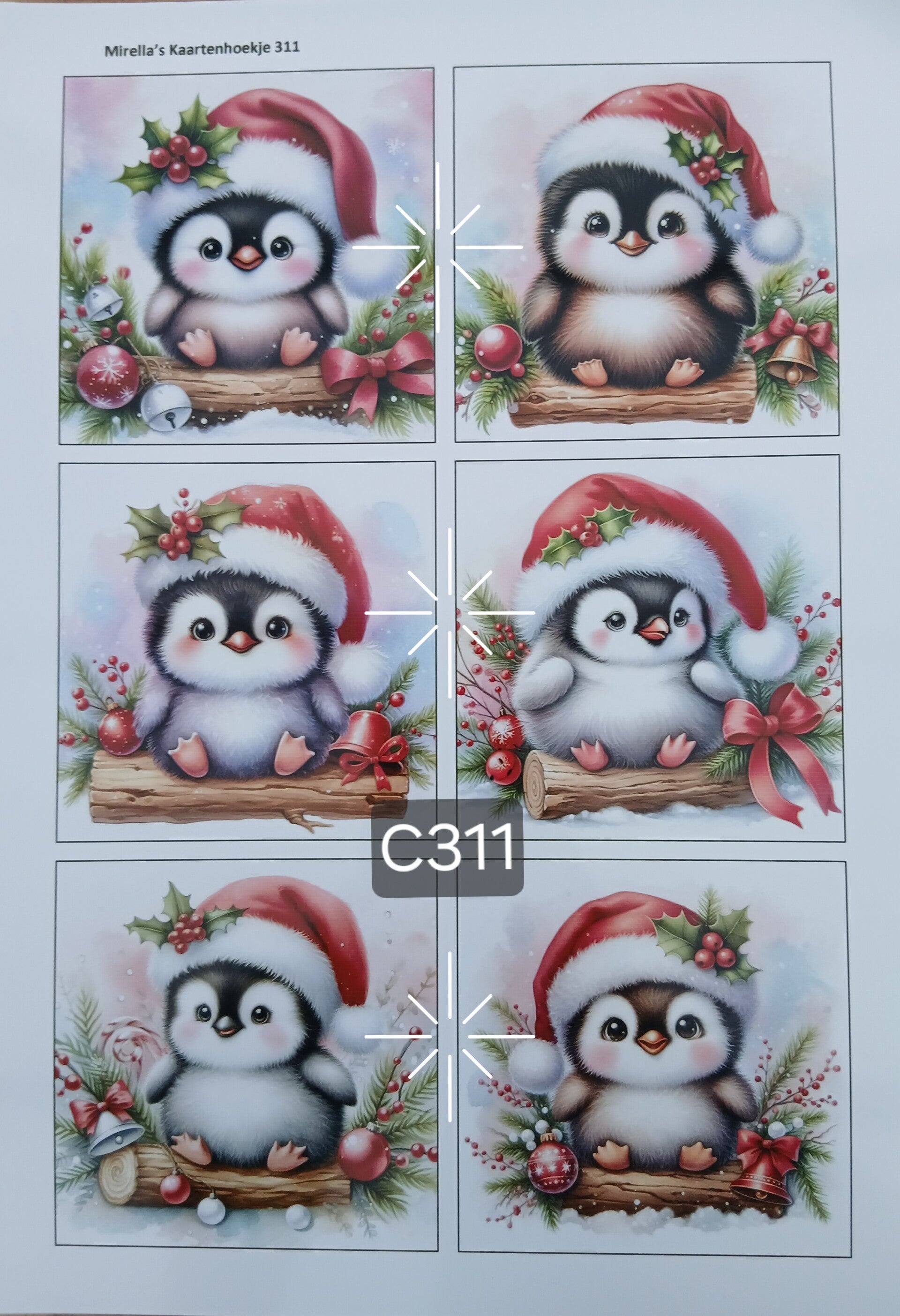 Collagevel C311