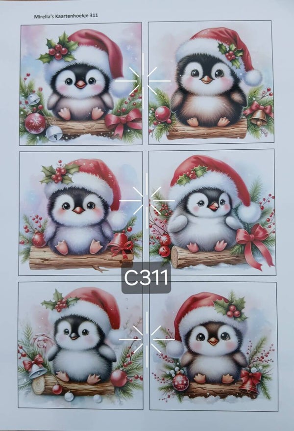 Collagevel C311