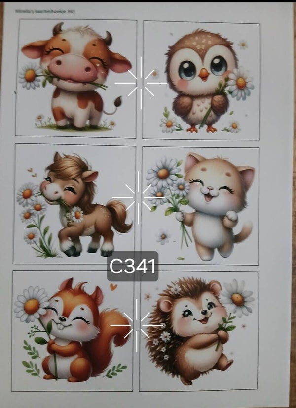 Collagevel C341