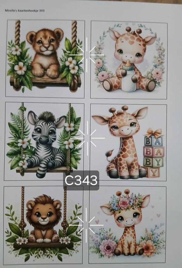Collagevel C343