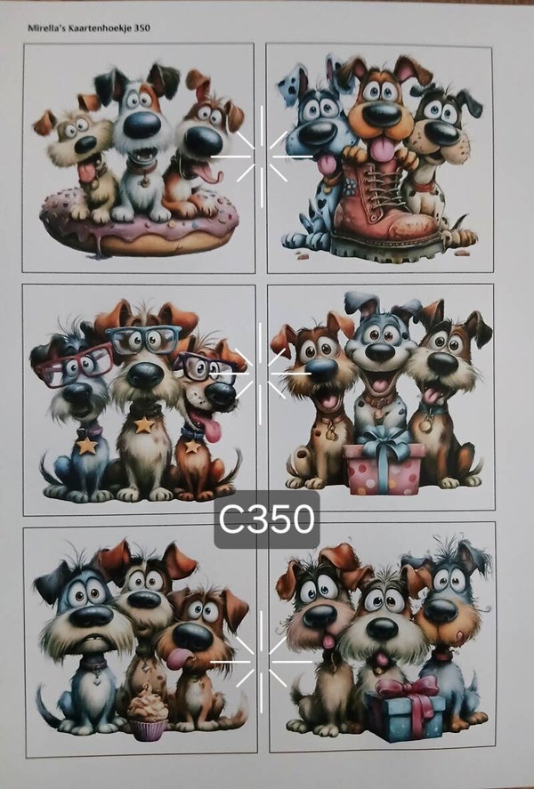 Collagevel C350