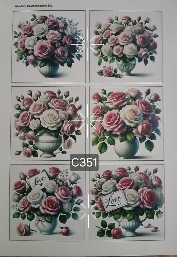 Collagevel C351