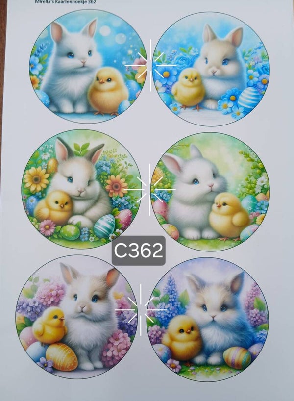 Collagevel C362