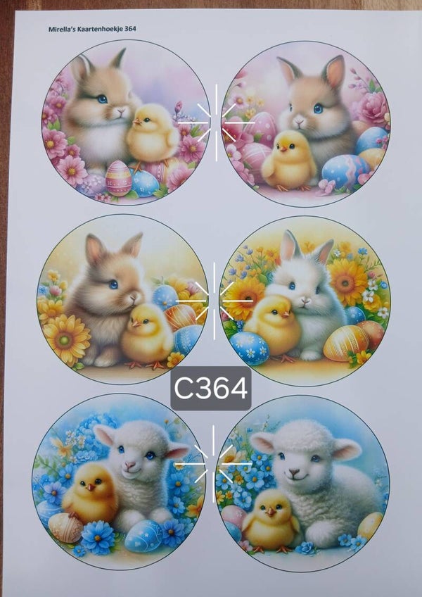 Collagevel C364