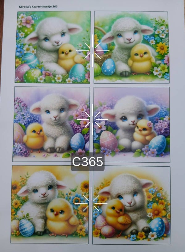 Collagevel C365