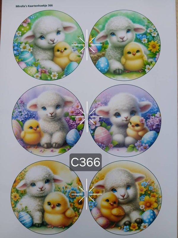 Collagevel C366