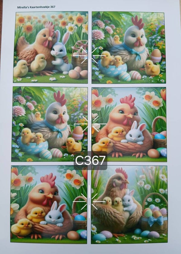 Collagevel C367