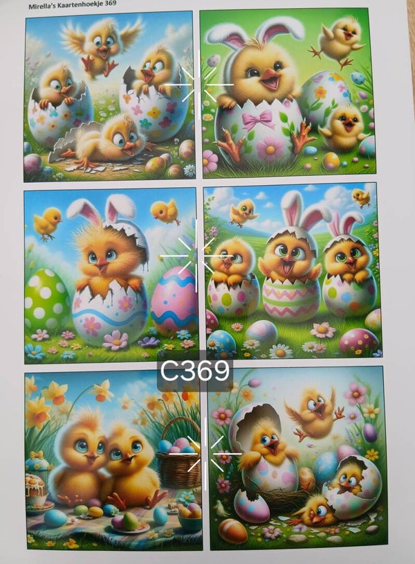 Collagevel C369
