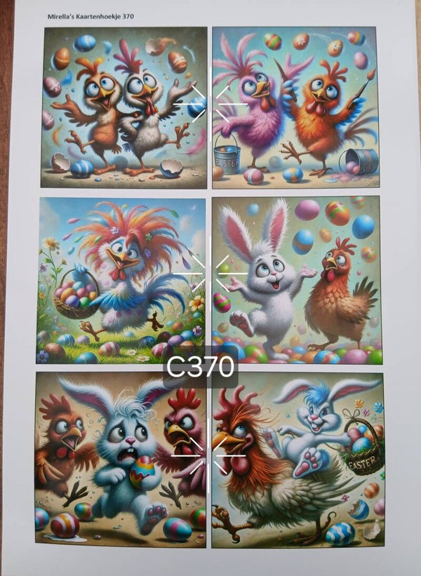 Collagevel C370
