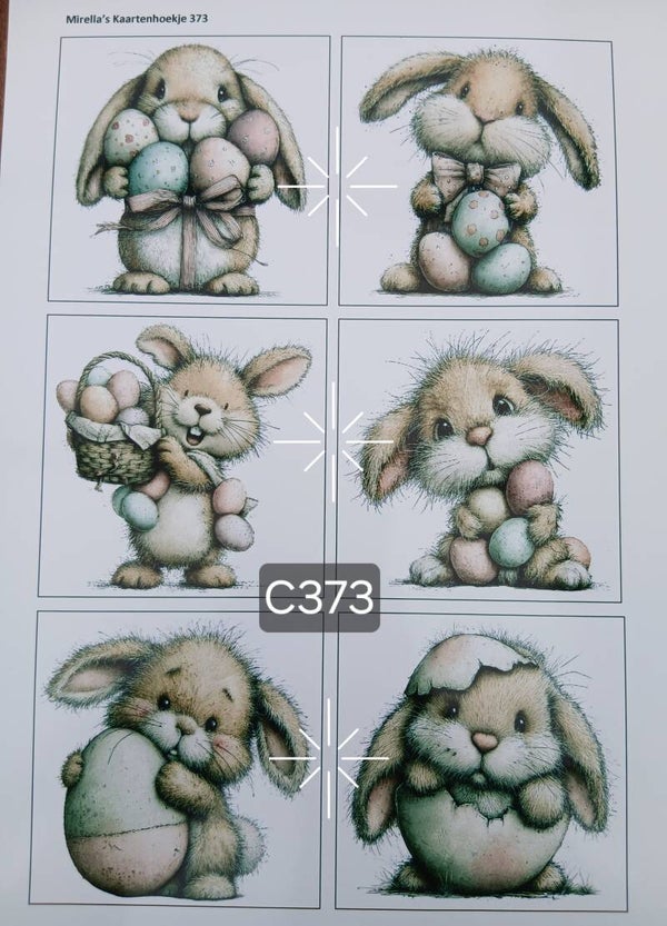 Collagevel C373