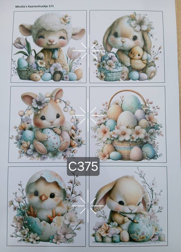 Collagevel C375