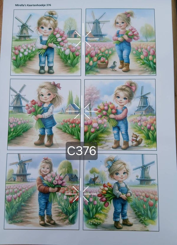 Collagevel C376
