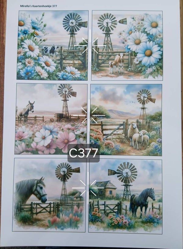 Collagevel C377