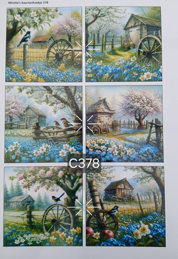 Collagevel C378