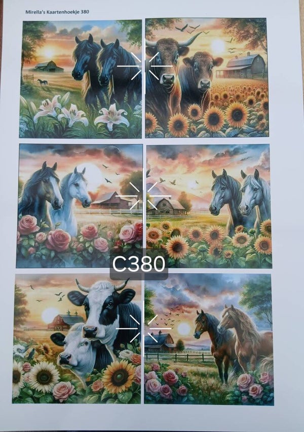 Collagevel C380