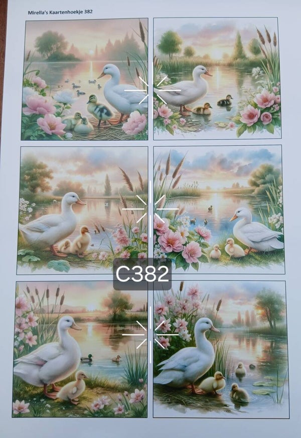 Collagevel C382
