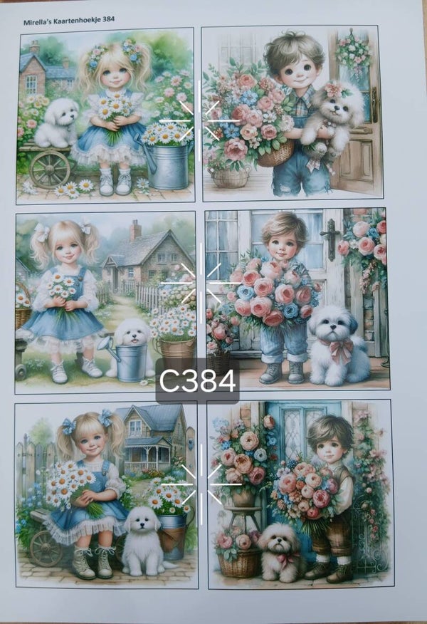 Collagevel C384