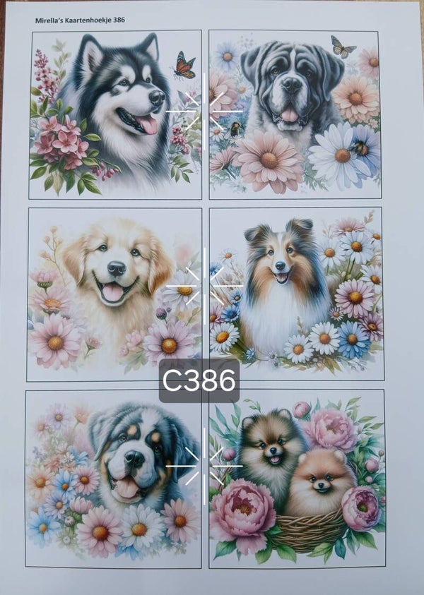 Collagevel C386