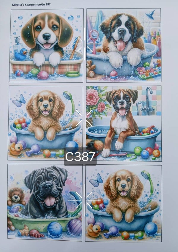 Collagevel C387
