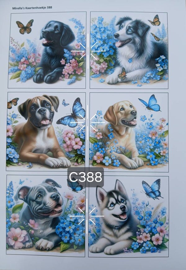 Collagevel C388