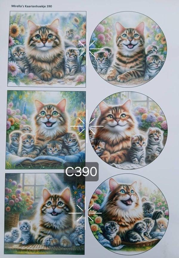 Collagevel C390