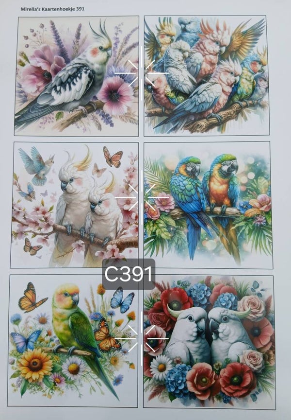 Collagevel C391