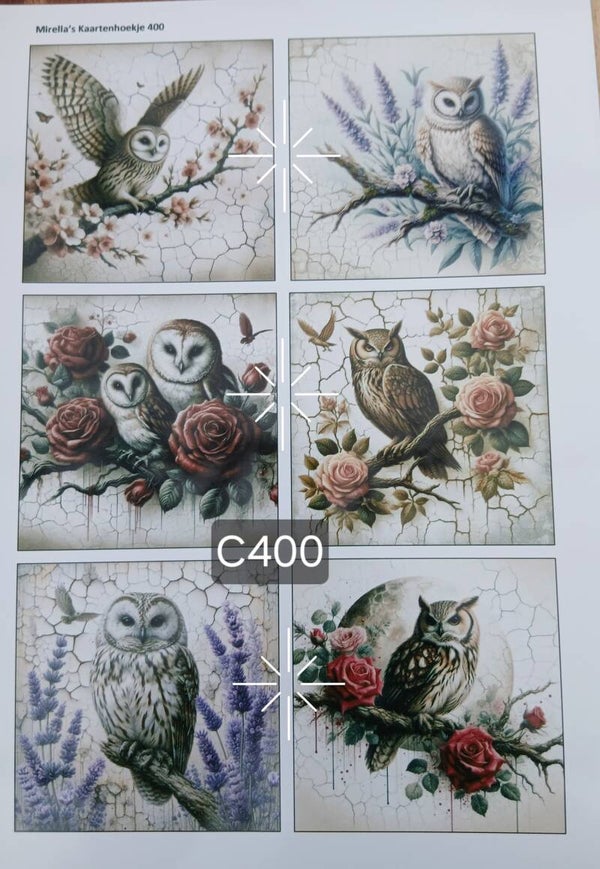 Collagevel C400