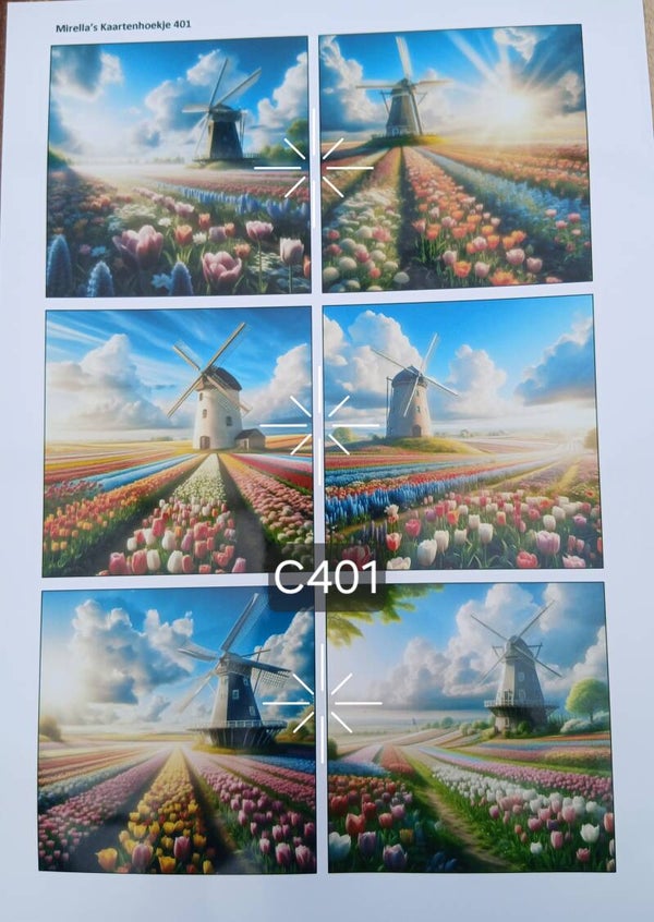 Collagevel C401