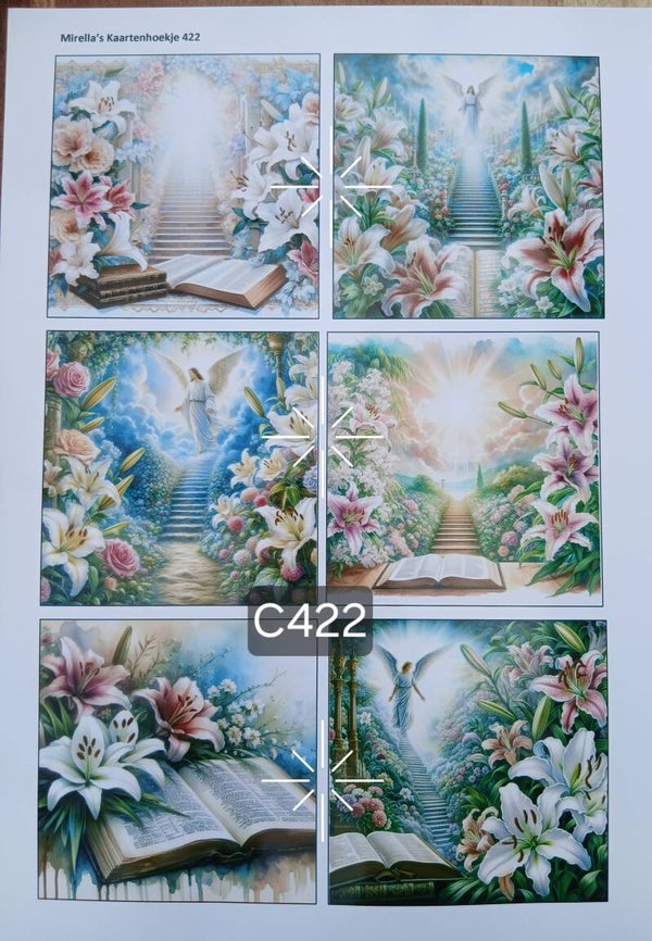 Collagevel C422