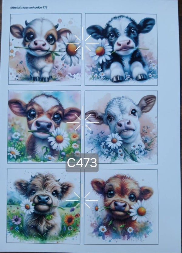 Collagevel C473