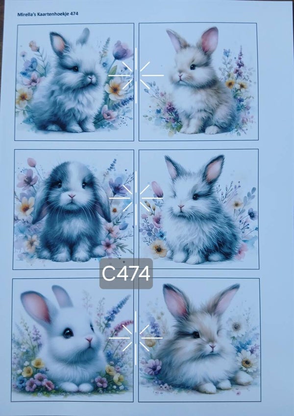Collagevel C474