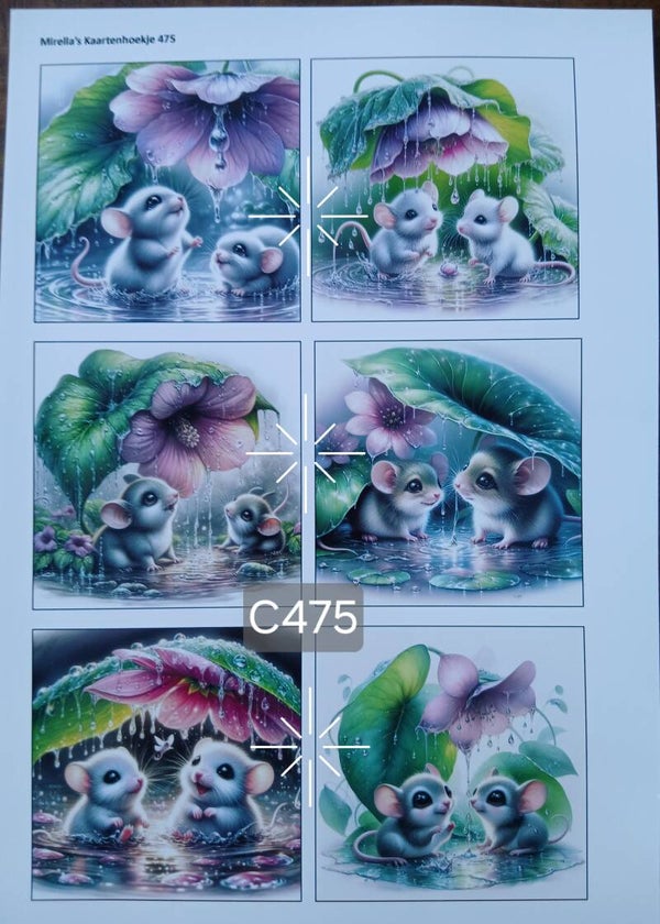 Collagevel C475