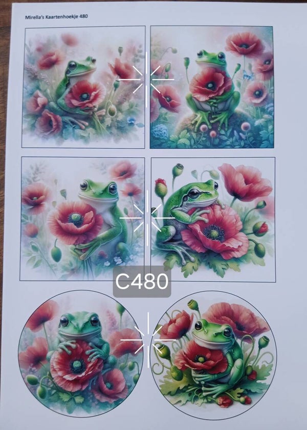 Collagevel C480
