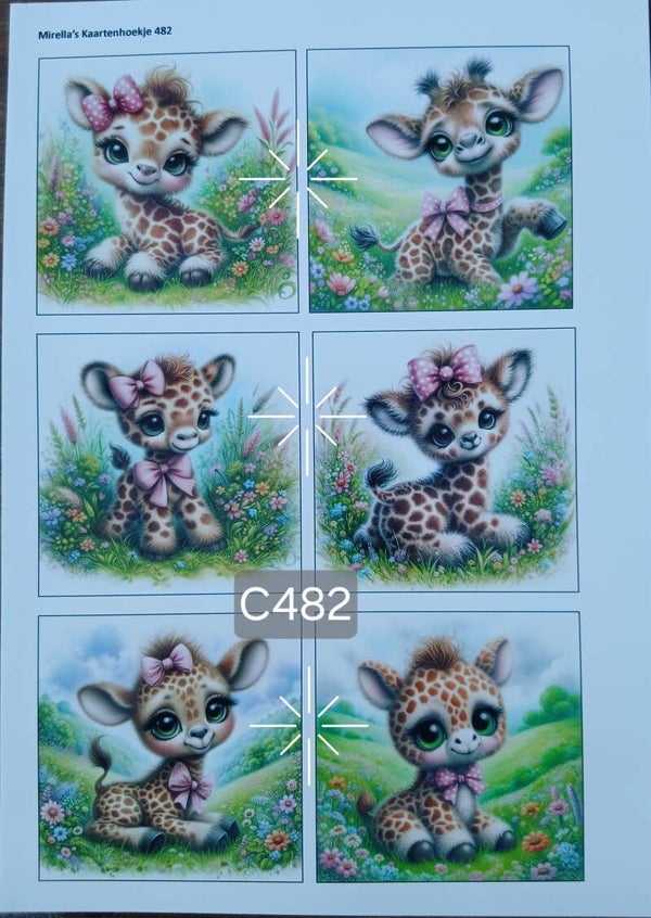 Collagevel C482